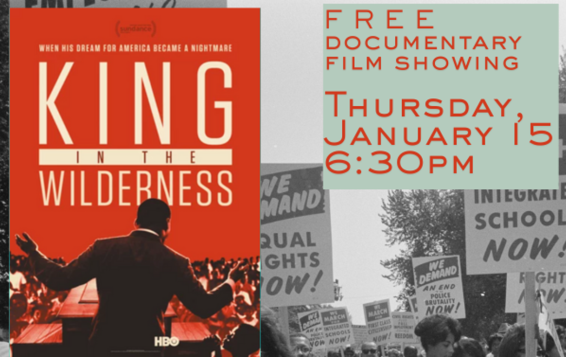 King in the Wilderness, a documentary film