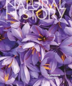Magazine Cover