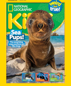 Magazine Cover