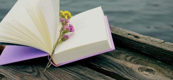 Poetry and Short Story Reference Source image