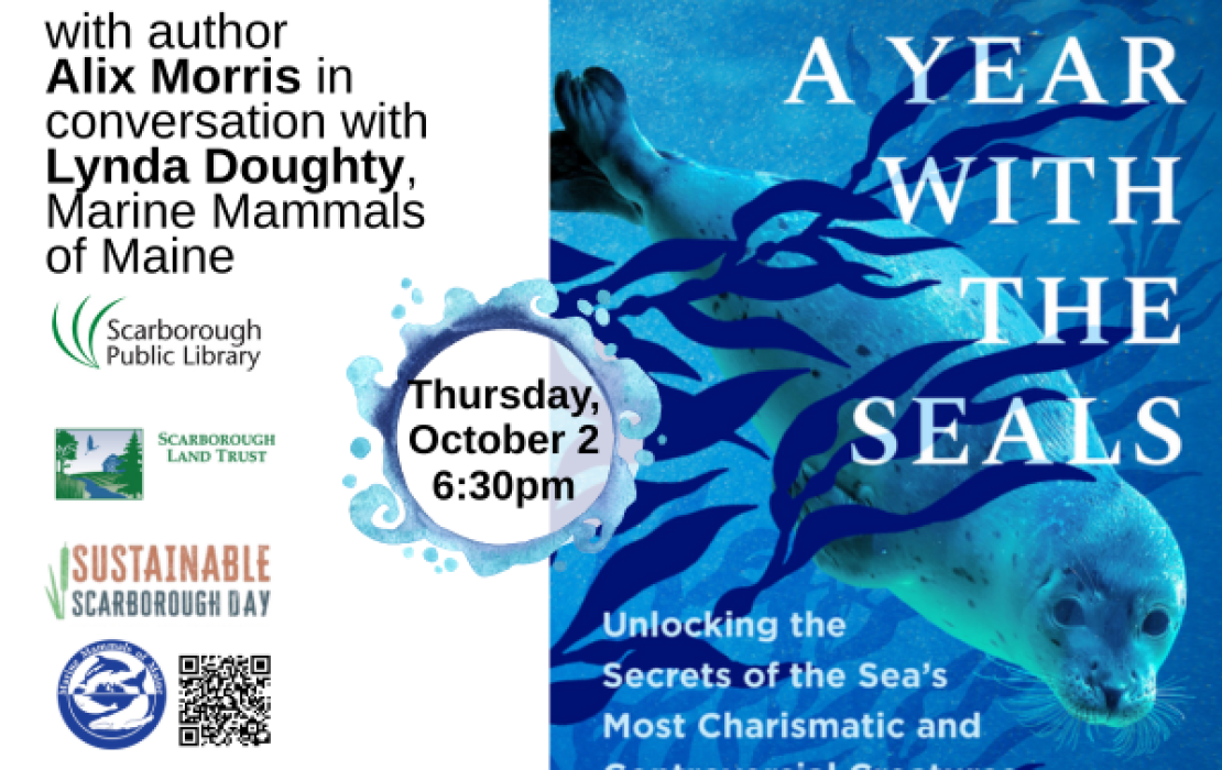 A Year with the Seals: A Reading and Conversation with Alix Morris and Marine Mammals of Maine