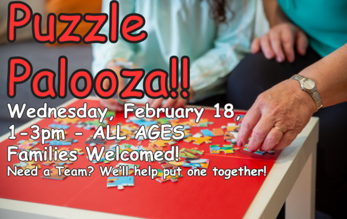 Puzzle Palooza! The Great Puzzle Race