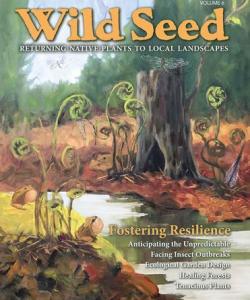 Magazine Cover